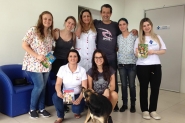 Campanha solidária soma 90 animais castrados em Gaspar