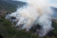 Incêndio destrói 3 mil metros quadrados de área de conservação em Florianópolis