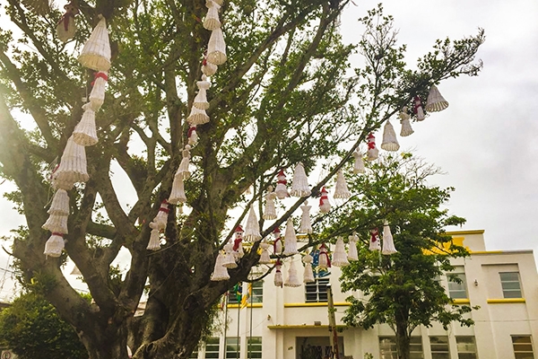 Decora��o de Natal enfeita Pra�a da Prefeitura de Gaspar
