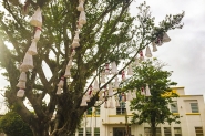 Decora��o de Natal enfeita Pra�a da Prefeitura de Gaspar