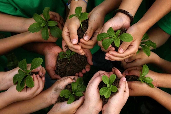 Deputados aprovam projeto de lei que transforma Fatma em Instituto
