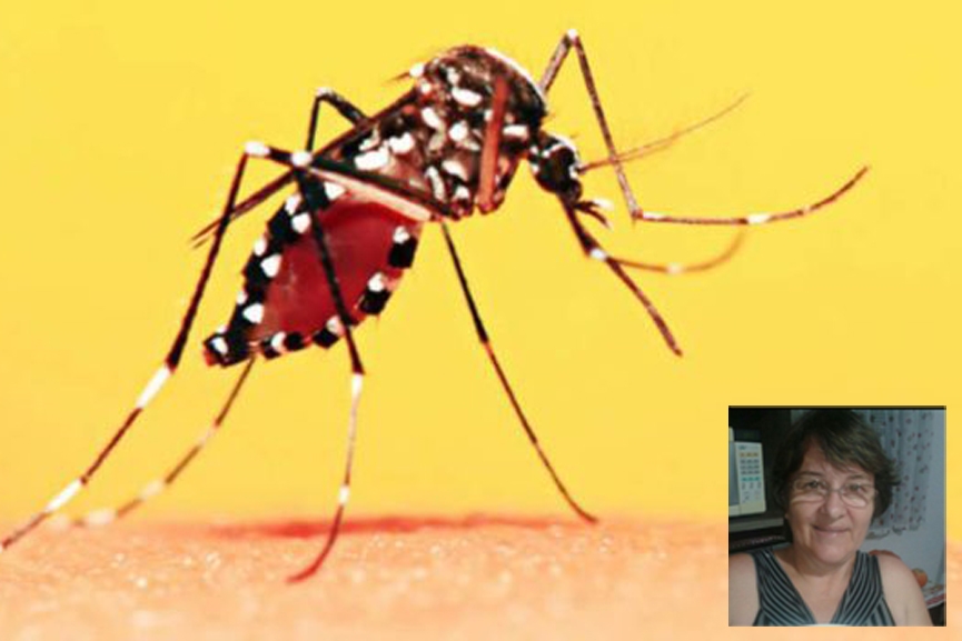 Moradora de Gaspar viaja para S�o Paulo e morre v�tima de febre amarela