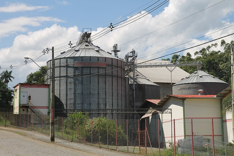 3.200 hectares de terra para plantar arroz em Gaspar