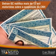 Detran-SC notifica mais de 12 mil motoristas sobre a suspens�o da CNH