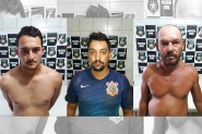 Três homens são presos por furto de boi em Ilhota