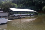 Pesqueiro S�o Jos�: qualidade em meio � natureza