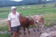O sustento da família do pequeno agricultor