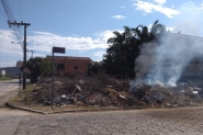 Vereador Ciro pede limpeza de ruas e terrenos baldios 