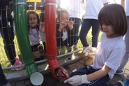 Alunos alimentam animais de rua no bairro Belchior Central