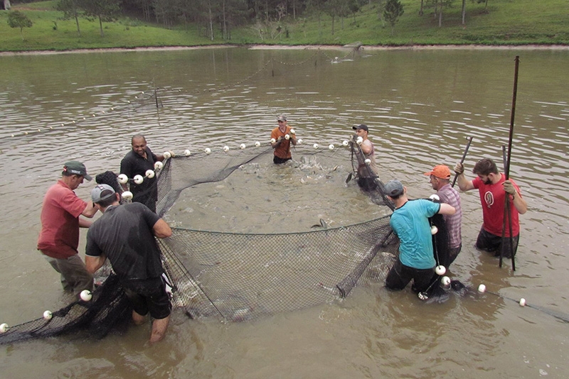 Dia do Pescador terá programação especial em Gaspar