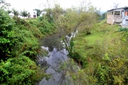Ribeir�o Gaspar Grande amanhece com colora��o escura