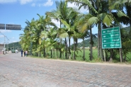 Rua Bonifácio Haendchen será revitalizada