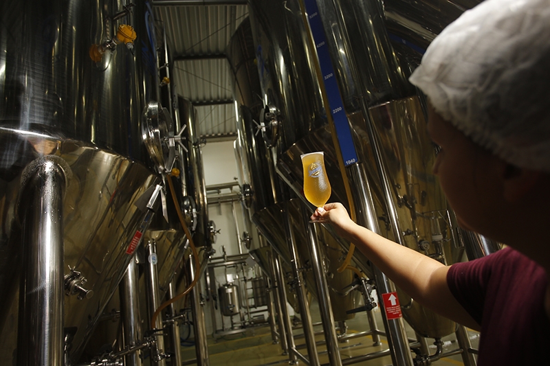 Cerveja Blumenau comemora dois anos da fábrica com evento aberto ao público