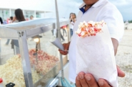 Ambulantes que tiverem interesse dever�o se inscrever para o sorteio de pontos de venda durante a 35� Oktoberfest