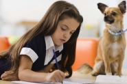 Wizard Gaspar promove 2 Pets Day na sexta-feira