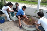 Alunos de escola de Gaspar escrevem livros e fazem atividades sobre o meio ambiente