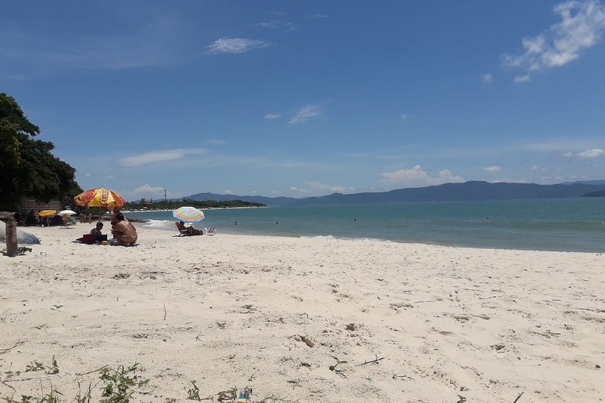 Cai o n�mero de locais pr�prios para banho nas praias de Santa Catarina