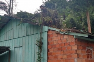 Tr�s pessoas ficam feridas ap�s �rvore cair sobre casa em Blumenau