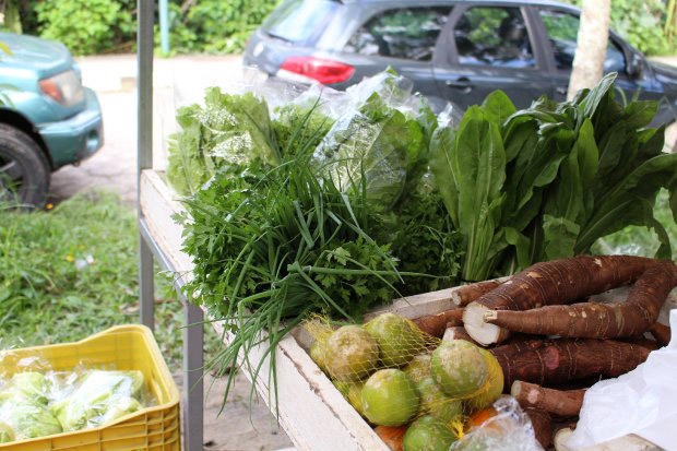 Santa Catarina cria Pol�tica Estadual de Incentivo �s Feiras de Produtos Org�nicos