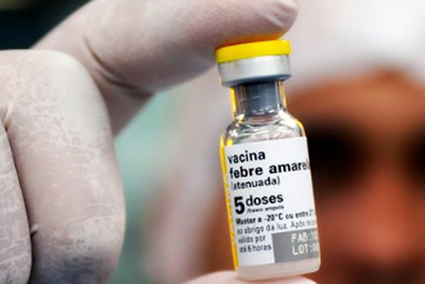 Febre amarela: quase 40% do público alvo de SC ainda precisa tomar a vacina