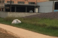 Motorista de caminhão despeja saco com lixo no bairro Sete de Setembro