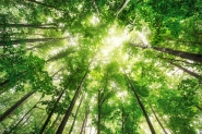 Quanto tempo voc deve passar na natureza?