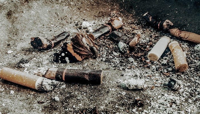 Bitucas de cigarro prejudicam o crescimento de plantas