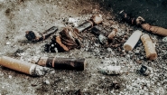 Bitucas de cigarro prejudicam o crescimento de plantas
