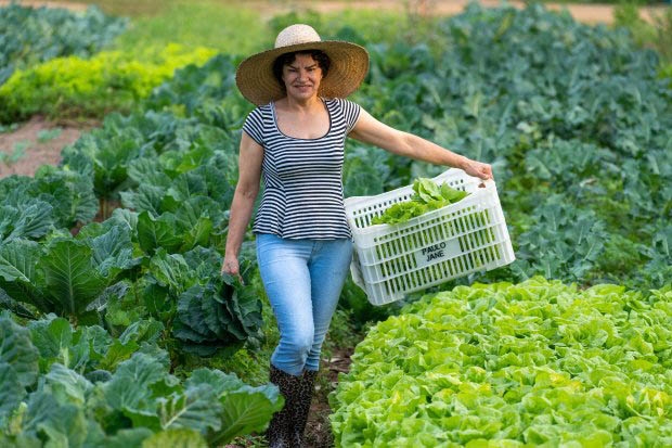 Jovens e mulheres ter�o prioridade em programas da Agricultura de SC