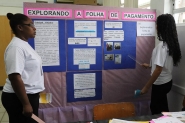 Gaspar expe trabalhos na 35 Feira Regional de Matemtica