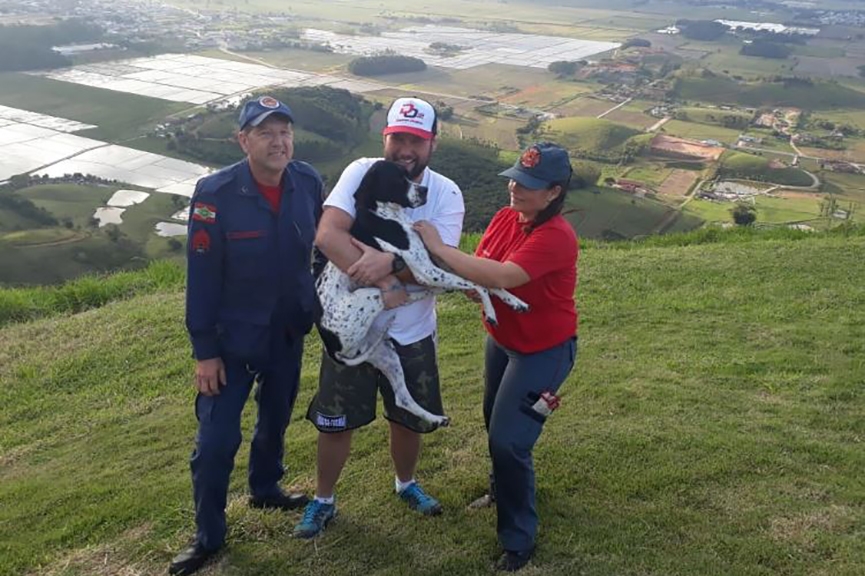 Bombeiros resgatam c�o que caiu do Morro do Parapente, em Gaspar