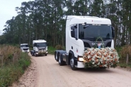 Prociss�o abre �ltimo dia da Festa de Nossa Senhora do Ros�rio, no Barrac�o