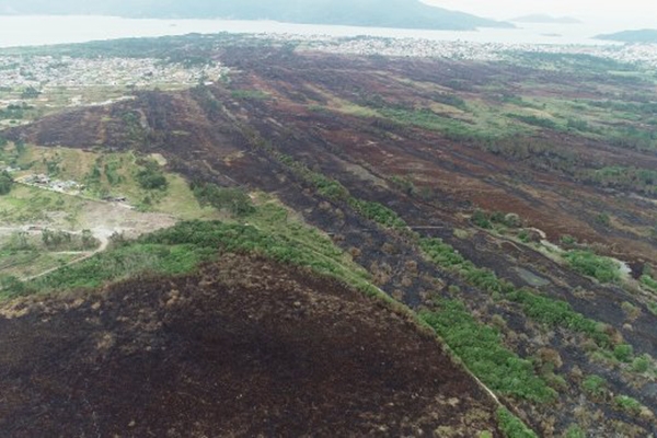 IMA define cronograma de a��es para recuperar �rea queimada no Parque da Serra do Tabuleiro