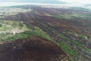IMA define cronograma de ações para recuperar área queimada no Parque da Serra do Tabuleiro