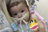 Empresa de Gaspar promove sorteio para ajudar menina Antonella