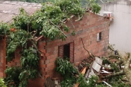 Chuva e fortes rajadas de vento causam estragos em SC