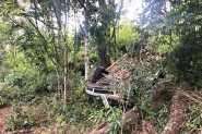 Quatro pessoas morrem após carro cair em ribanceira no Oeste de SC