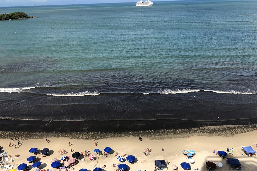 Algas voltam a aparecer na Praia Central de Balne�rio Cambori�