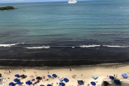 Algas voltam a aparecer na Praia Central de Balne�rio Cambori�