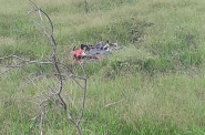 Piloto perde controle de moto e fratura o braço em acidente em Gaspar