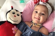 Valor para tratamento da menina Antonella � arrecadado e campanha chega ao fim