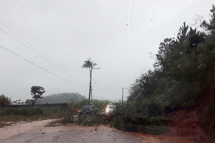 Chuva causa queda de �rvore e pontos de alagamentos em Gaspar