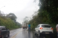 Árvore cai na Rodovia Ivo Silveira, em Gaspar