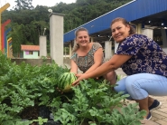 Frutas orgnicas vo fazer parte da merenda no CDI Tempos de Infncia, no Belchior