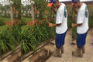 Superintend�ncia do Belchior limpa bocas de lobo do bairro