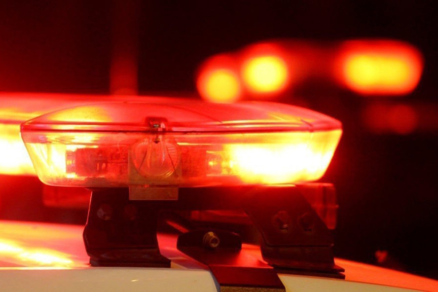 Pol�cia apreende drogas, muni��es e pe�as de arma de fogo em resid�ncia de Ilhota