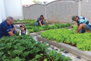 Moradores cuidam de horta comunit�ria no bairro Po�o Grande