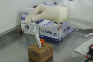 Gaspar realiza mais testes de coronav�rus que a m�dia estadual