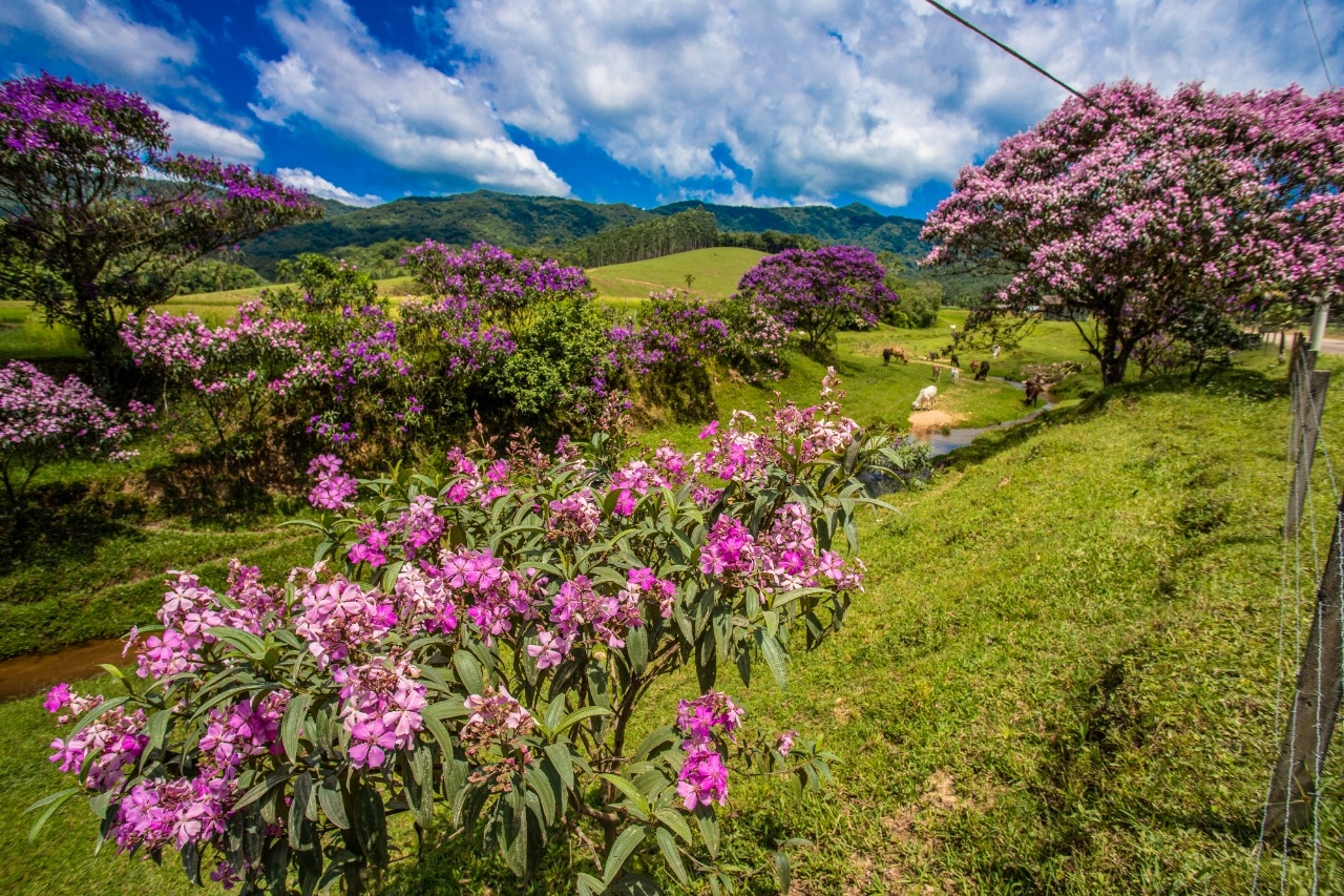 Gaspar concorre ao Top 100 dos principais destinos tur�sticos sustent�veis 2020