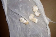 Adolescente � pego vendendo drogas em Ilhota